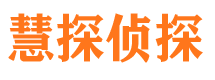 沙坪坝调查公司